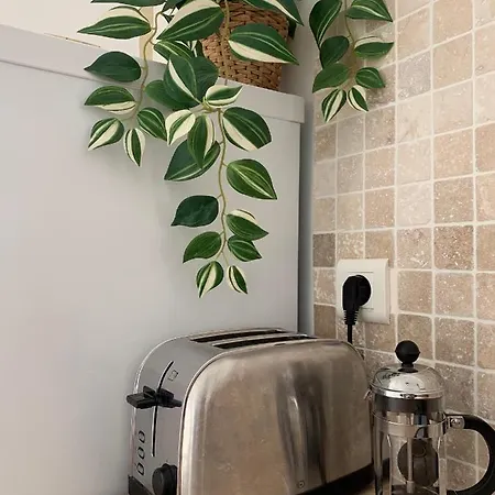 Cozy Beachside In Cros De - Luna דירה